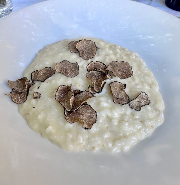 Truffle risotto special