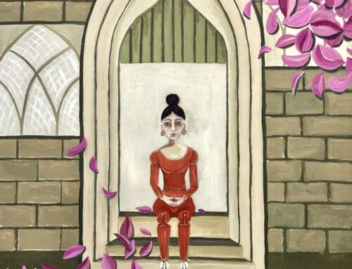 10 Years of Queenscliff Life